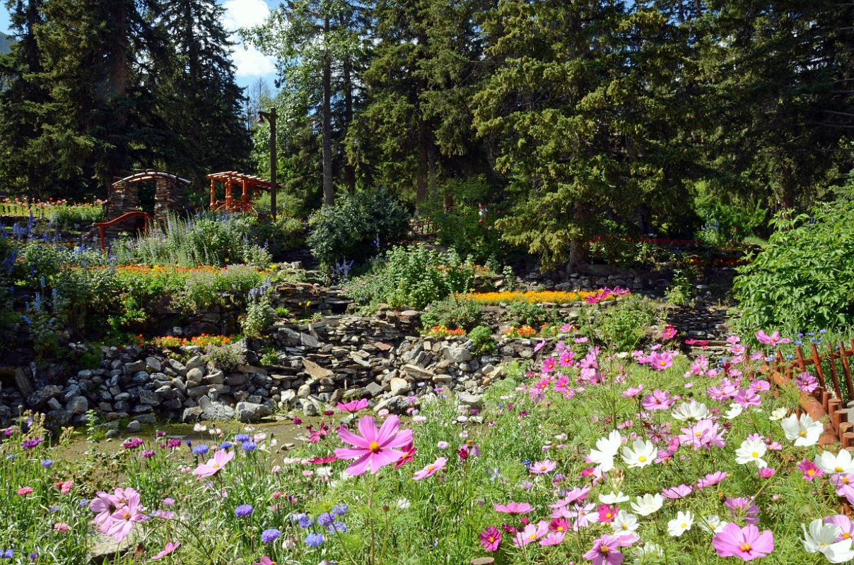 12 The Cascades Of Time Gardens Across The Bow River Bridge From Banff In Summer